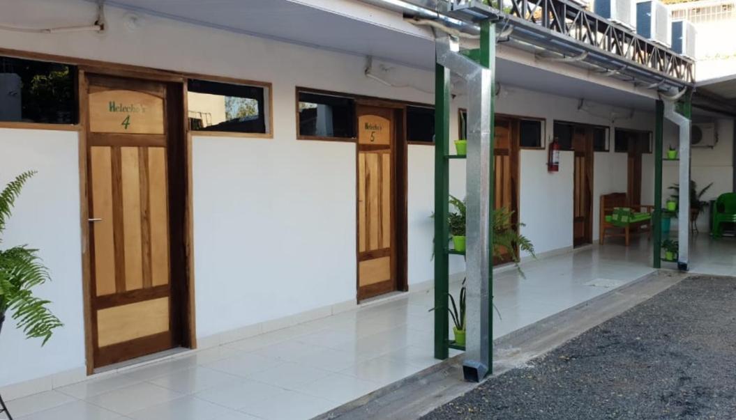 הוסטל Encarnación Helecho'S Hostal מראה חיצוני תמונה